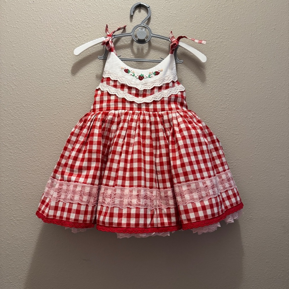 Wild Lilies Red Gingham Strawberry Dress